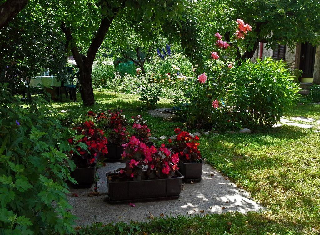 Hotel La Vecchia Casa Cetinje Esterno foto
